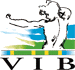 logo vib